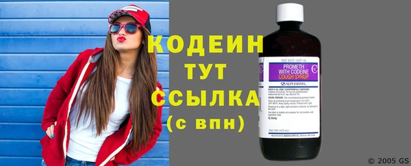 стаф Новозыбков