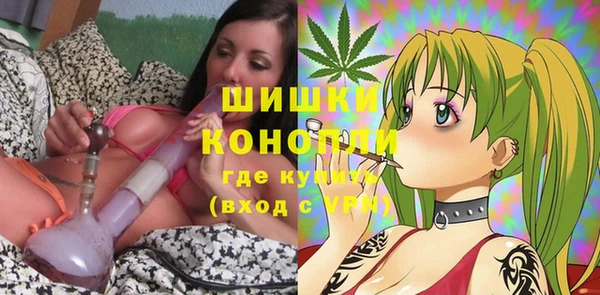 крисы Новокубанск
