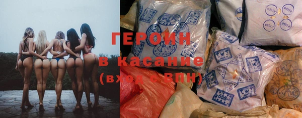 СК Новодвинск