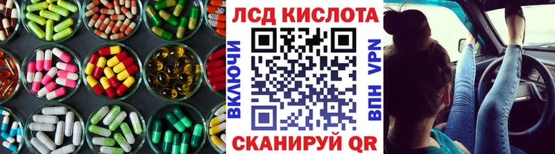 блэк спрут онион  Ярцево  Лсд 25 экстази кислота 