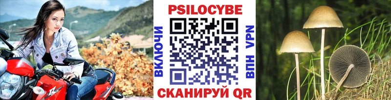 даркнет сайт  Ярцево  MEGA маркетплейс  Псилоцибиновые грибы GOLDEN TEACHER 