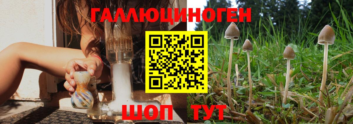 Галлюциногенные грибы мухоморы Ярцево